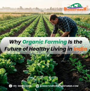 Why Organic Farming Is the Future of Healthy Living in India - Bharatvarsh Nature Farms