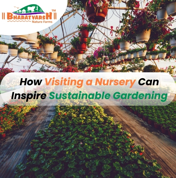 How Visiting a Nursery Can Inspire Sustainable Gardening - Bharatvarsh Nature Farms