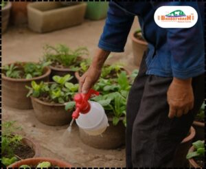 Sustainable Plant Care - Bharatvarsh Nature Farms