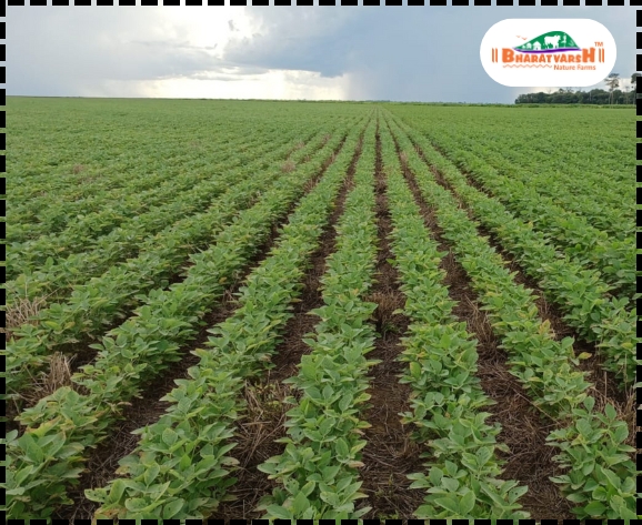 Agro Tourism in Nagpur - Bharatvarsh Nature Farms