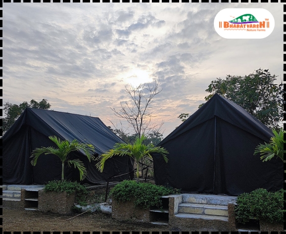 Organic Farm Stay - Bharatvarsh Nature Farms