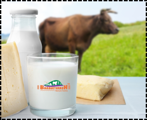 Organic Milk Advantages - Bharatvarsh Nature Farms