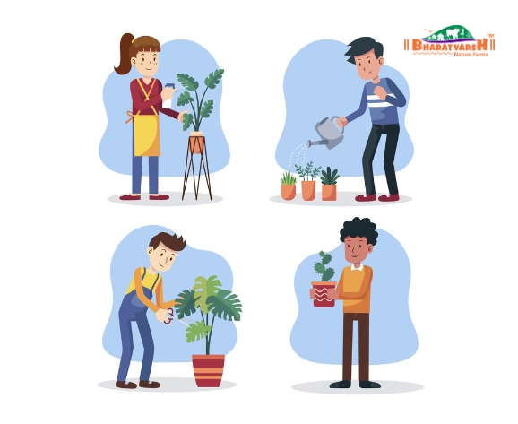 Plant Care Tips - Bharatvarsh Nature Farms