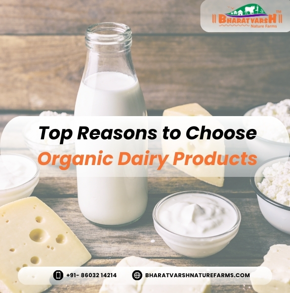 Top Reasons to Choose Organic Dairy Products - Bharatvarsh Nature Farms