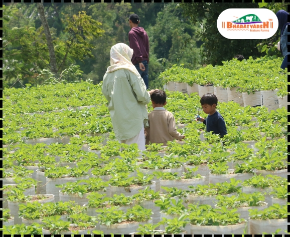 Best time to visit nature farms - Bharatvarsh Nature Farms