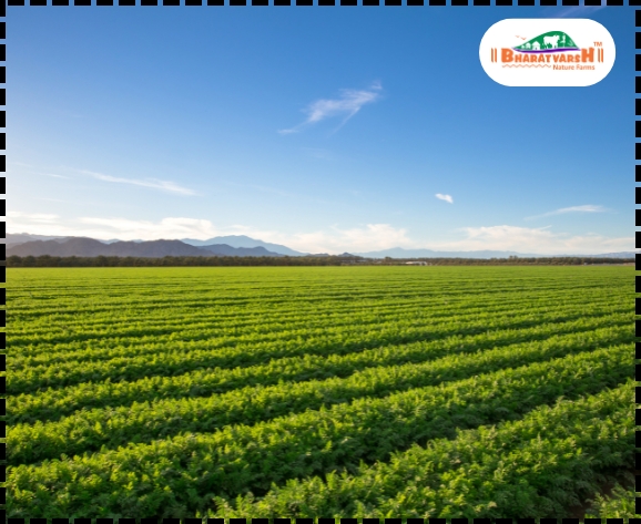 Farm tourism best season - Bharatvarsh Nature Farms