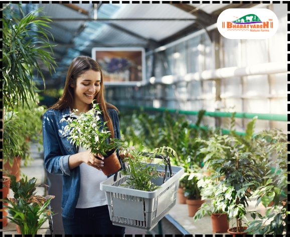 Buying Plants from a Trusted Nursery - Bharatvarsh Nature Farms
