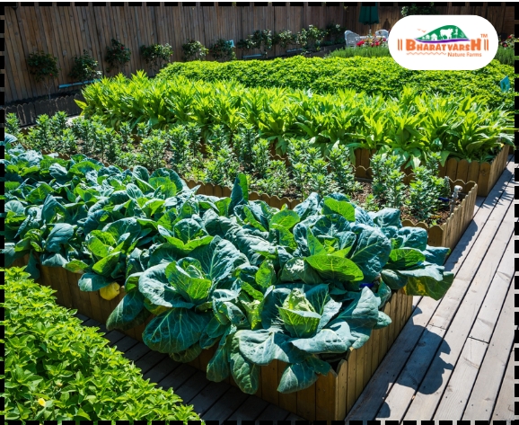 Benefits of organic farming in 2026 - Bharatvarsh Nature Farms