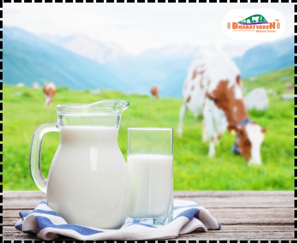 Natural dairy farming - Bharatvarsh Nature Farms