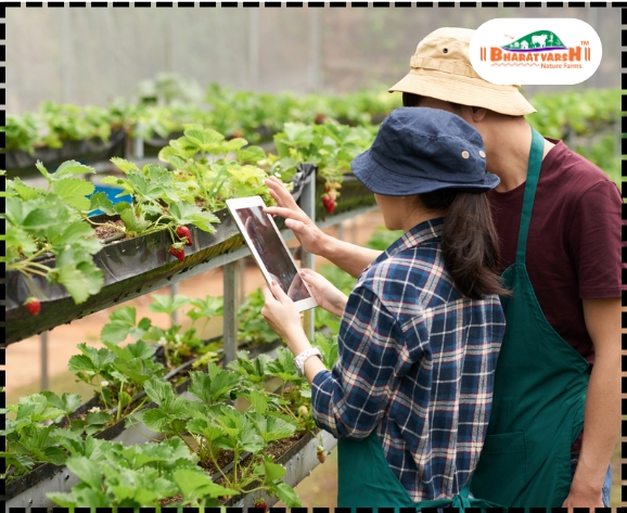 Organic farming trends - Bharatvarsh Nature Farms
