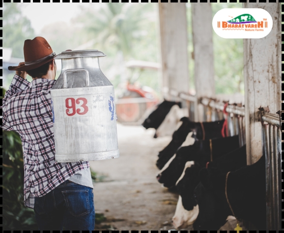 Sustainable Dairy Farming - Bharatvarsh Nature Farms